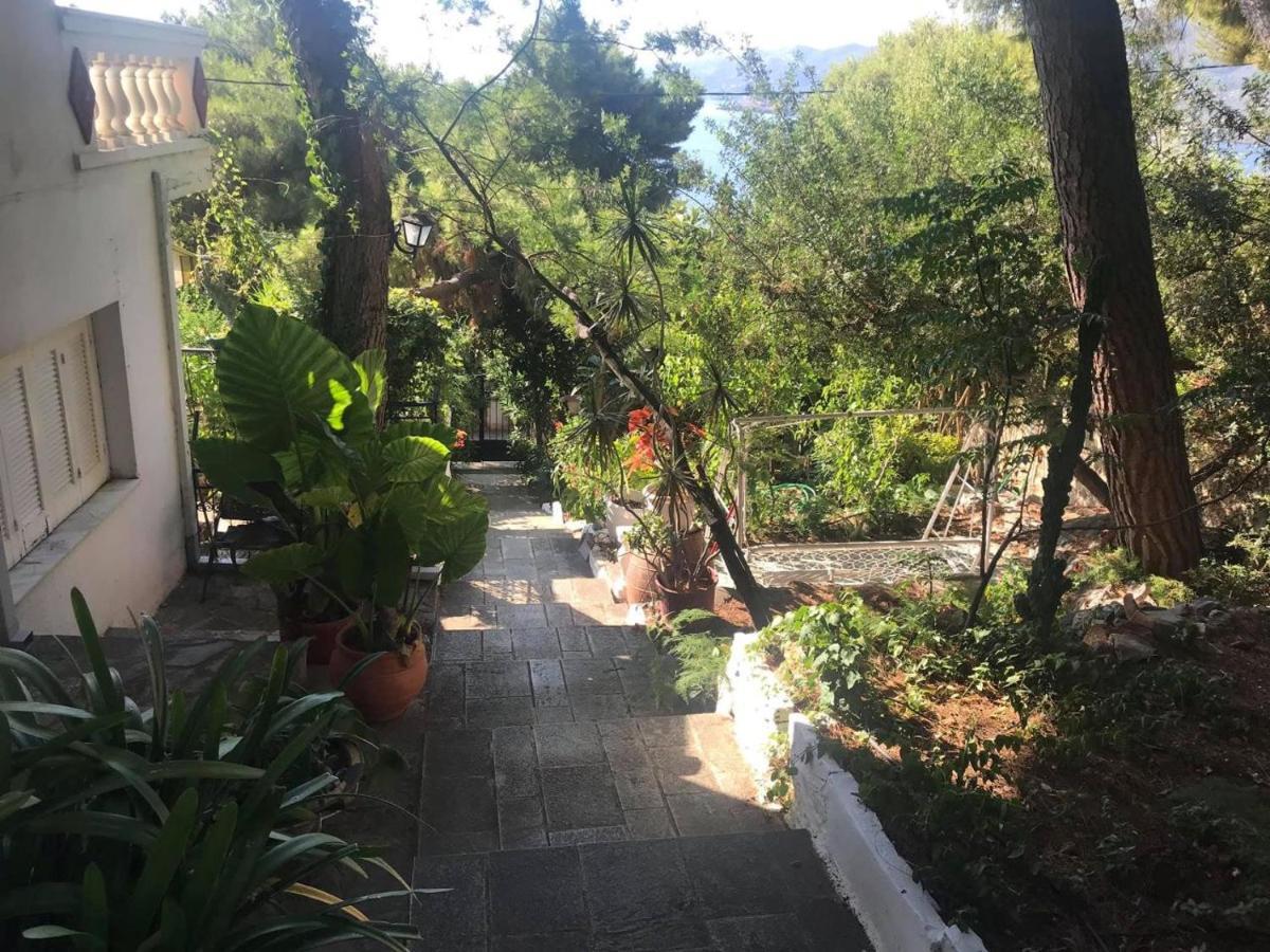 Villa Loula Apartment II Poros Town Eksteriør billede